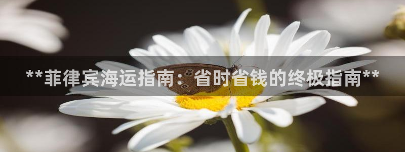 公海赌博为什么没人管