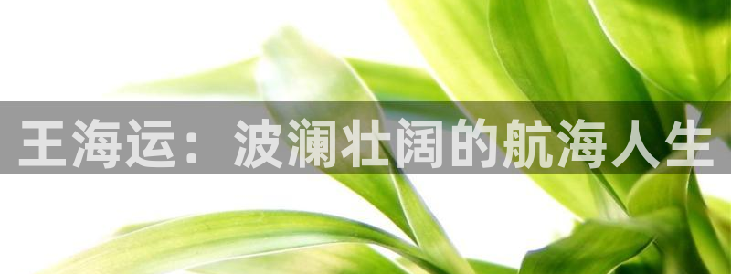 欢迎来到公海手机版710