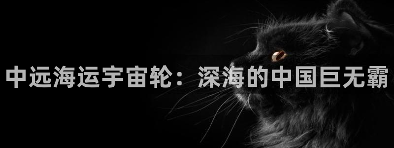 公海赌船网页