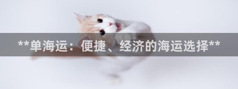 欢迎公海来到赌船710_首页(欢迎您)