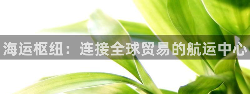 公海赌钱算合法收益吗