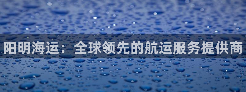 欢迎来到海牛星简谱