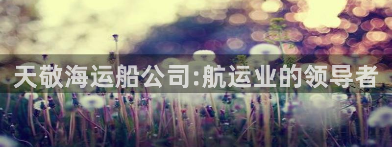 公海赌赌船官网jc7