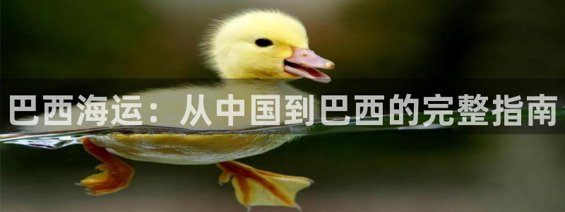 公海赌赌船官网介绍人