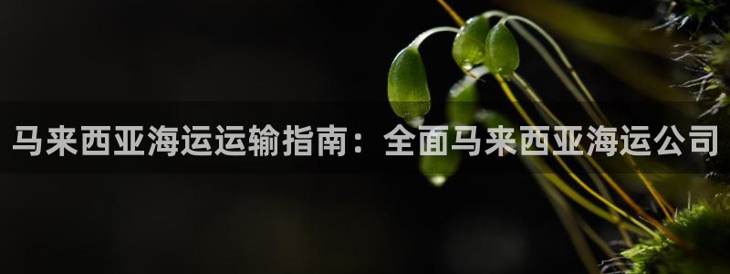 公海赌赌船官网真的