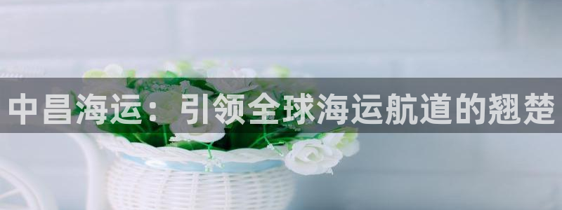 欢迎来到公海