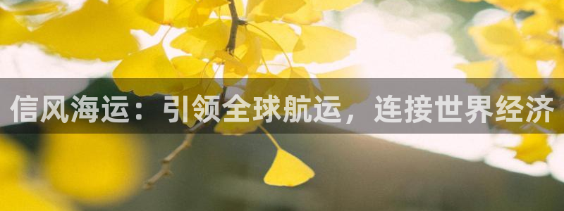 欢迎来到海牛星简谱