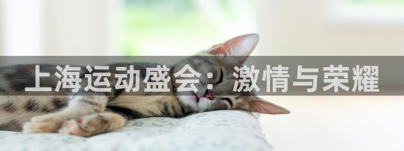 欢迎登船