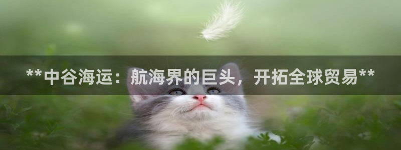 欢迎你来到公海 赌船