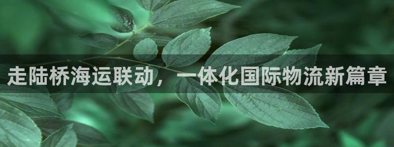 在公海赌博犯法吗