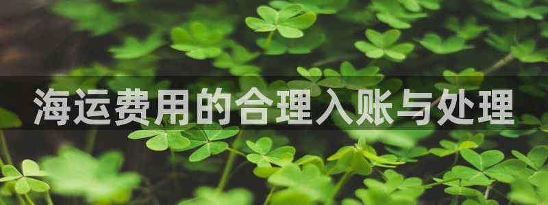 公海 赌船710手机版下载官方