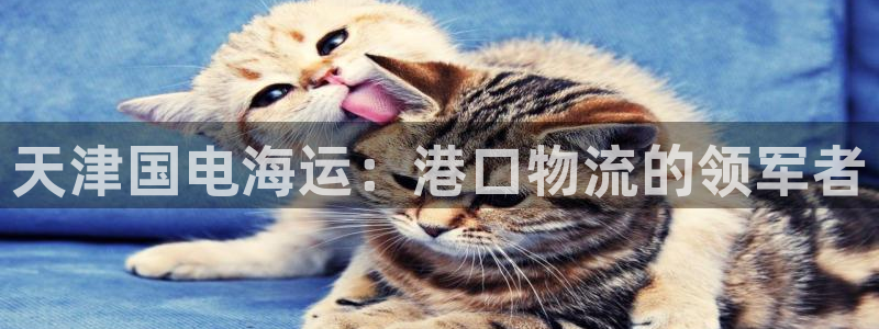 公海赌赌船利息宝是真的吗