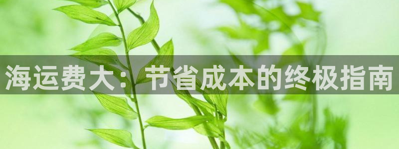 公海赌赌船jcjc710