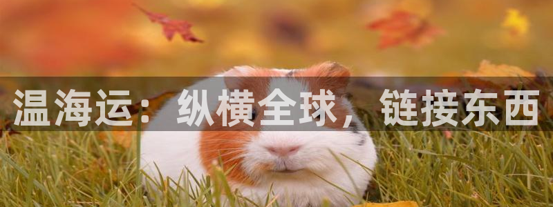 公海赌赌船官网710登录