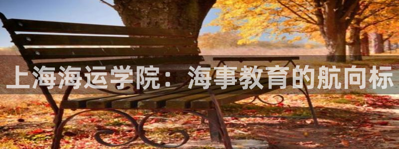 欢迎来到公海电脑版