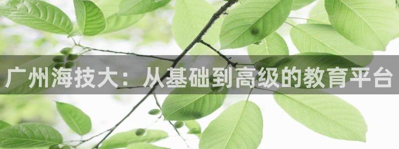 公海欢迎来到赌船710