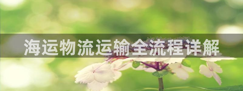 710公海赌赌船有总代理吗
