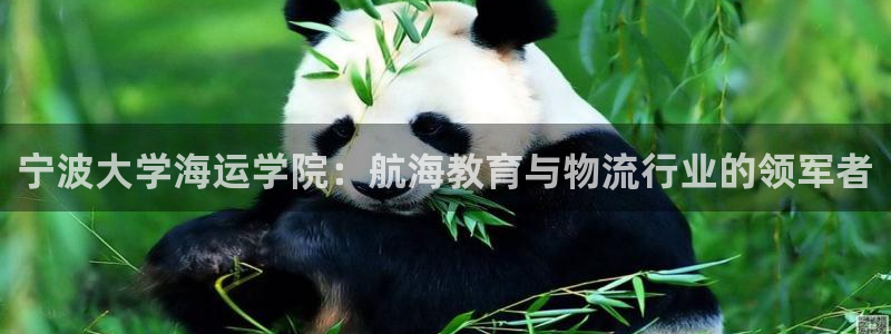 欢迎来到公赌船
