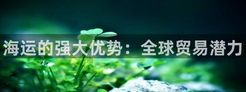 欢迎你来到 公主的海岛