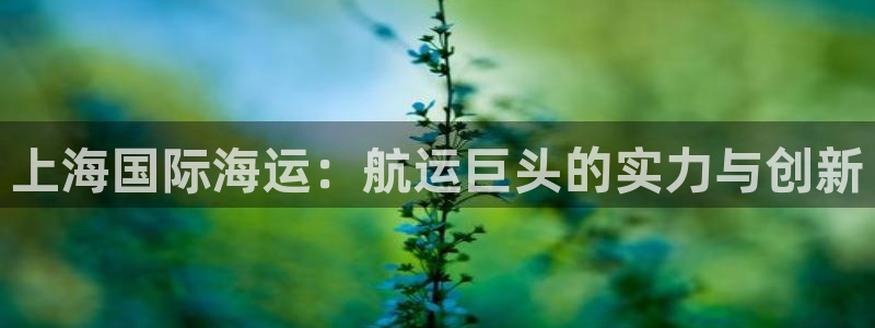 欢迎来到公海电脑版