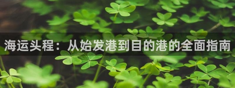 公海赌赌船最新版本更新内容