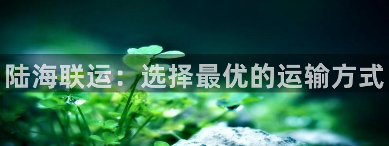 在公海赌博犯法吗