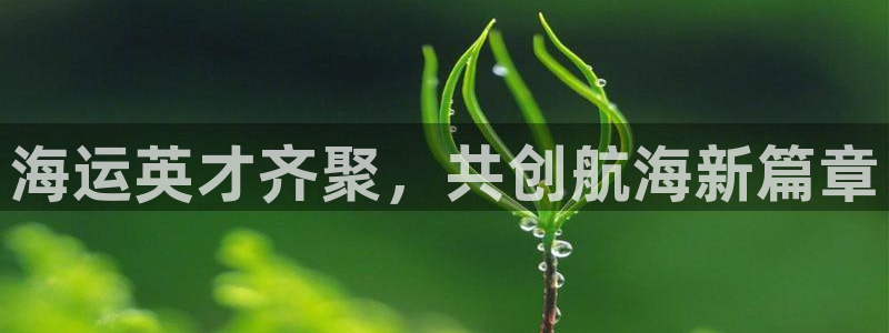 公海赌赌船官网图标