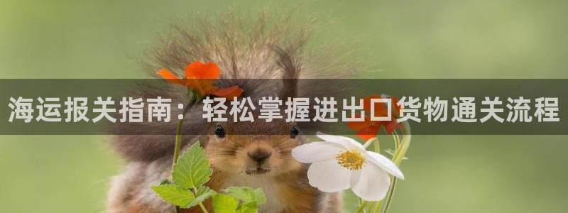 公海赌赌船最新版本更新内容