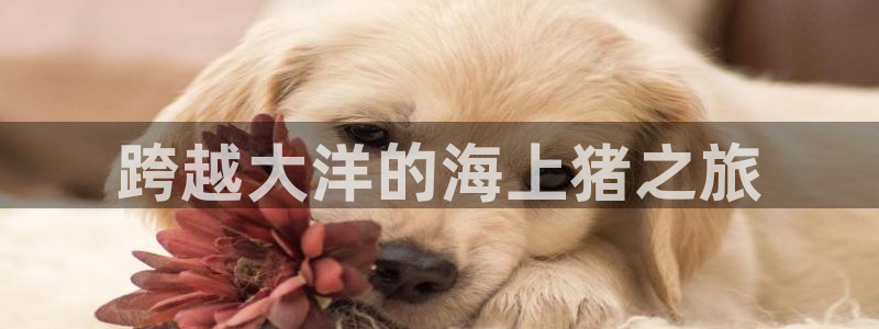 欢迎来到公海欢迎来到