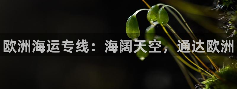 公海赌赌船贵宾会员检测路线