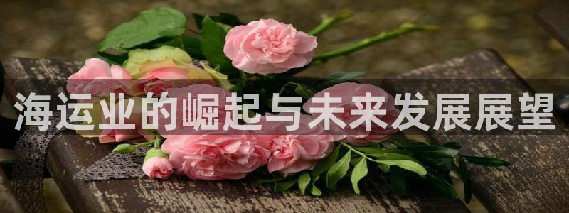 公海赌船网页