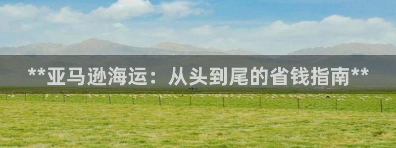 公海赌赌船官网图标