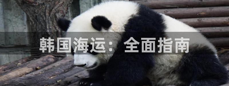 欢迎来到公海.欢迎来到赌船