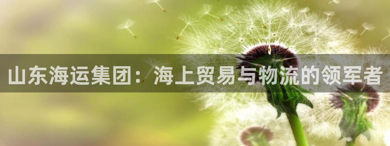 公海赌钱算合法收益吗