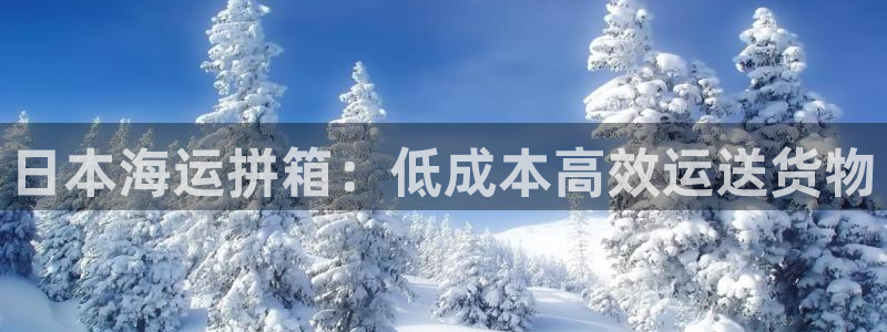 公海赌博怎么处理