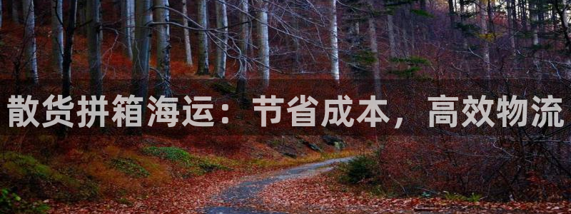 公海赌博犯法吗