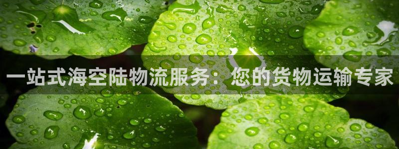 公海欢迎来到赌船710
