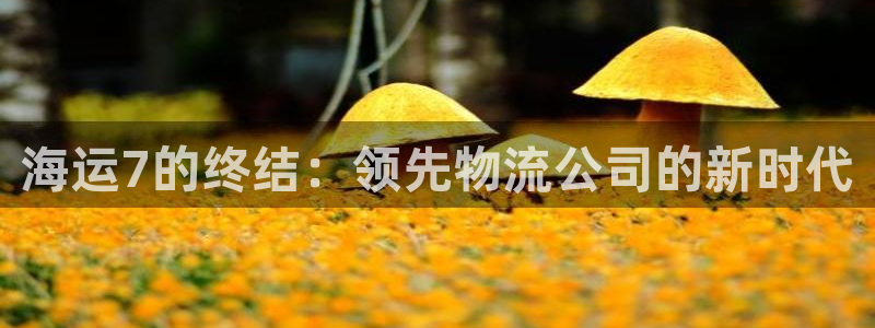 欢迎来到公海堵船