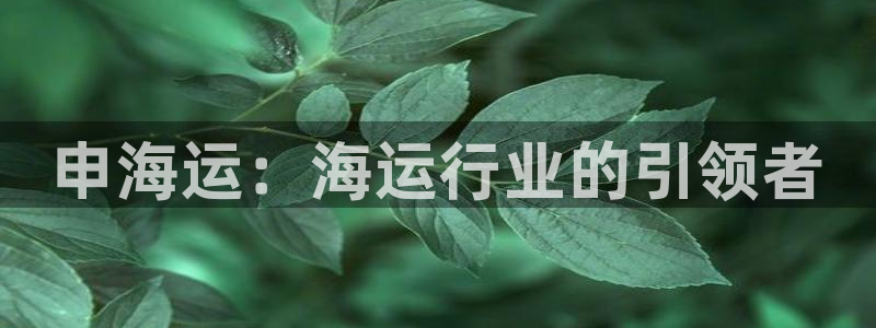 欢迎来到公海555000