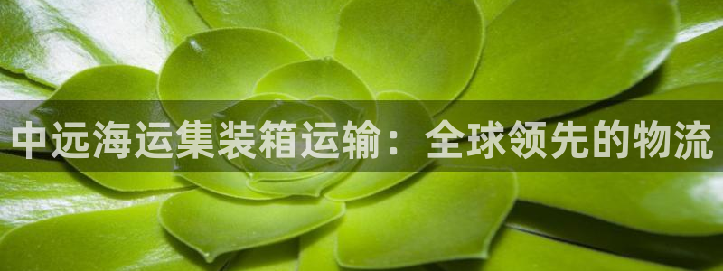欢迎来到公海7108