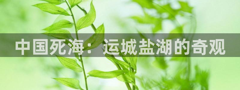 欢迎来到公海710线路是多少