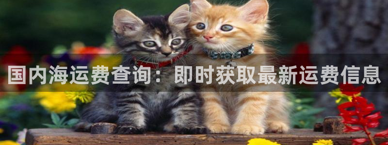 公海赌赌船系统维护要多久