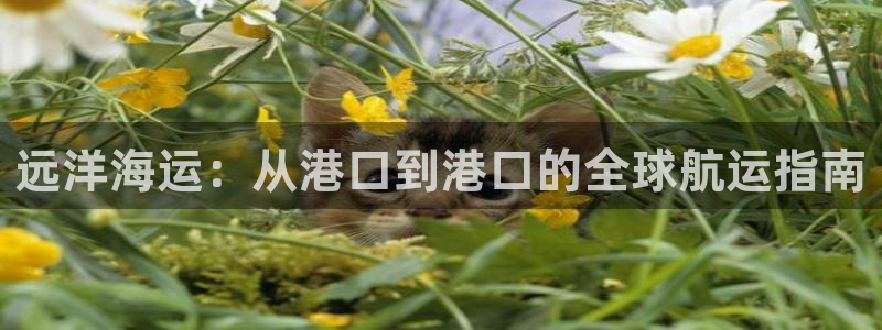 欢迎来公海欢迎来赌船!