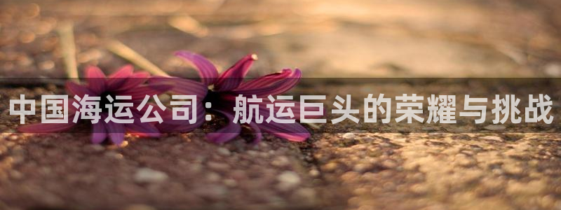 欢迎您到公海赌来