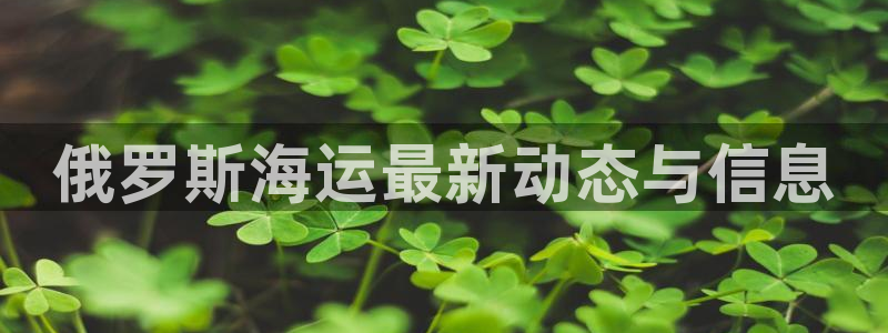 去公海赌博合法吗