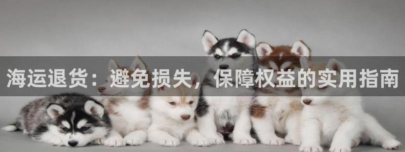 欢迎来到g港