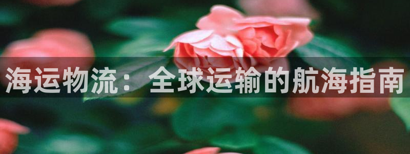 公海赌赌船官网