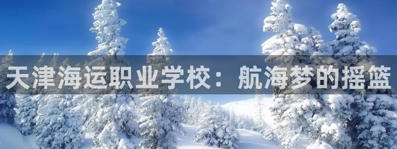 公海赌钱公安会抓吗