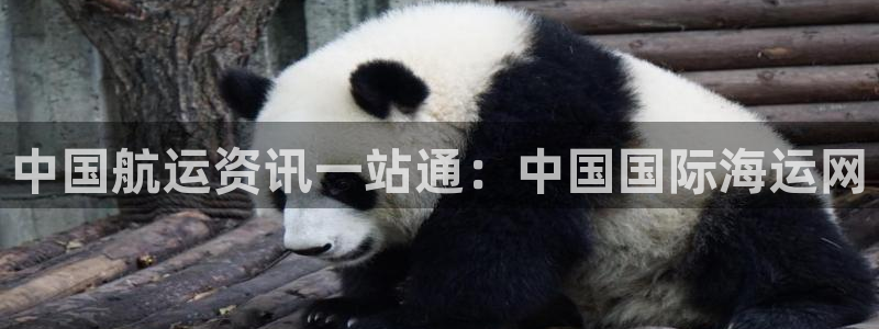 公海赌赌船最新版本更新内容